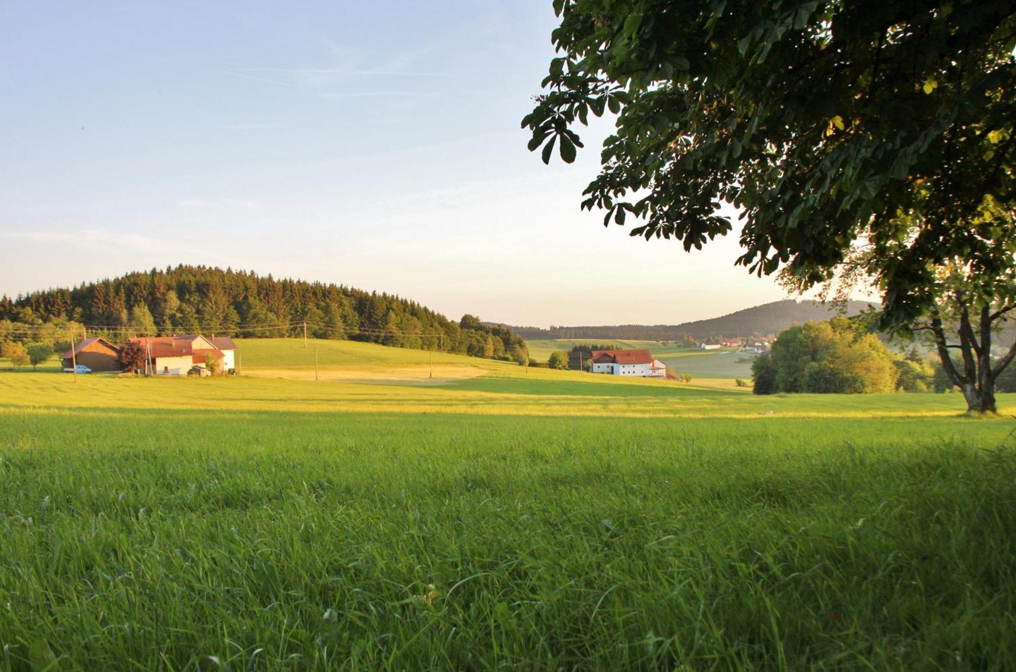 Gasthof-Pension Zum Haugstein - Familie Eder Engelhartszell Εξωτερικό φωτογραφία